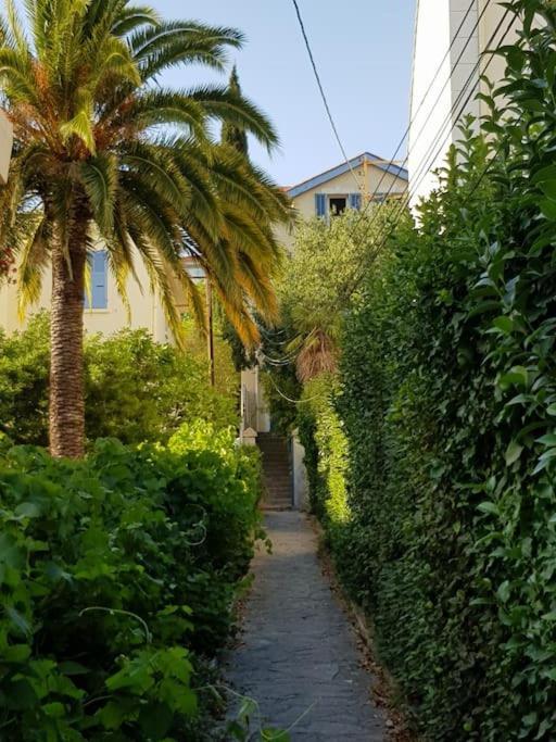 Appartement Pres Des Plages Du Mourillon Toulon Exterior foto