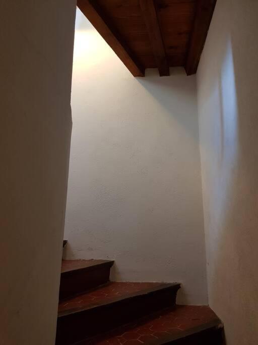 Appartement Pres Des Plages Du Mourillon Toulon Exterior foto